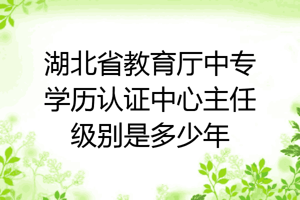 湖北省教育厅中专学历认证中心主任级别是多少年