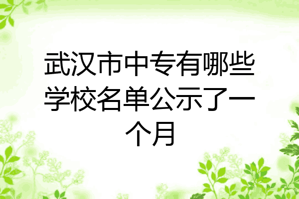 武汉市中专有哪些学校名单公示了一个月
