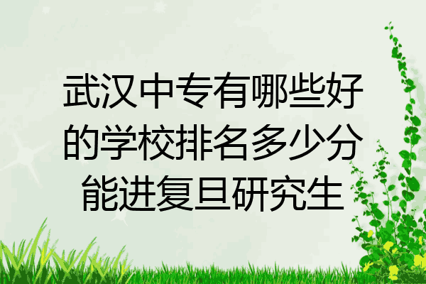 武汉中专有哪些好的学校排名多少分能进复旦研究生