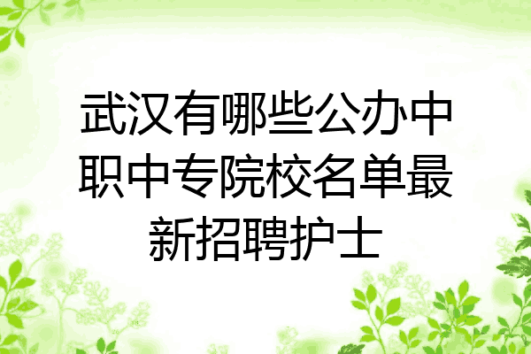 武汉有哪些公办中职中专院校名单最新招聘护士