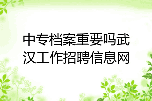 中专档案重要吗武汉工作招聘信息网