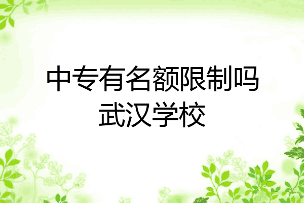 中专有名额限制吗武汉学校