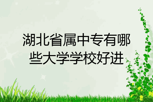 湖北省属中专有哪些大学学校好进