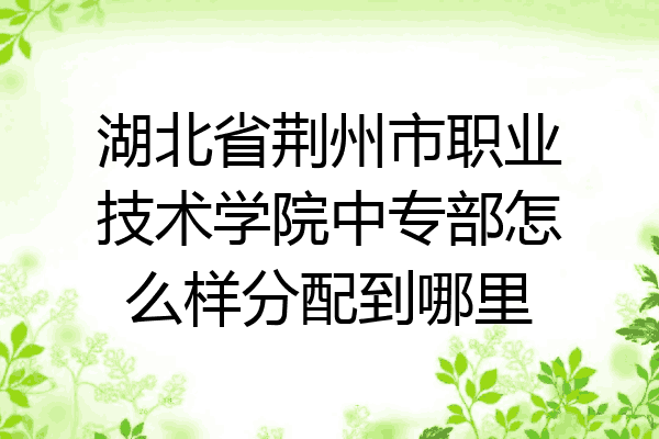 湖北省荆州市职业技术学院中专部怎么样分配到哪里