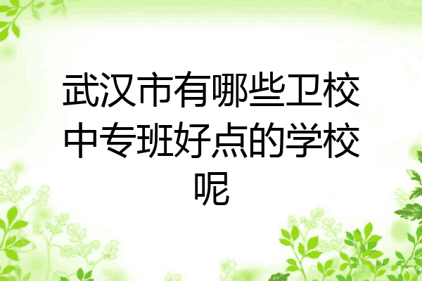 武汉市有哪些卫校中专班好点的学校呢
