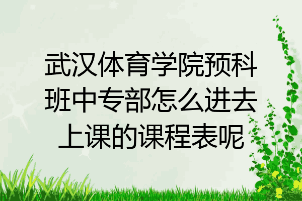 武汉体育学院预科班中专部怎么进去上课的课程表呢