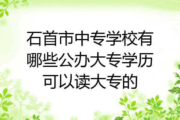 石首市中专学校有哪些公办大专学历可以读大专的