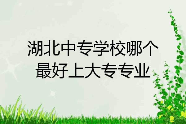 湖北中专学校哪个最好上大专专业
