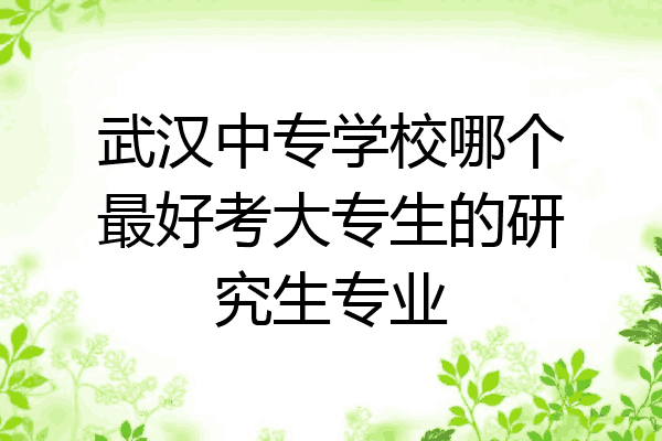武汉中专学校哪个最好考大专生的研究生专业