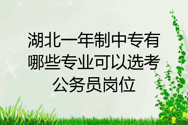 湖北一年制中专有哪些专业可以选考公务员岗位