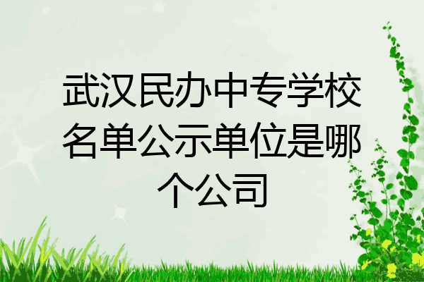 武汉民办中专学校名单公示单位是哪个公司