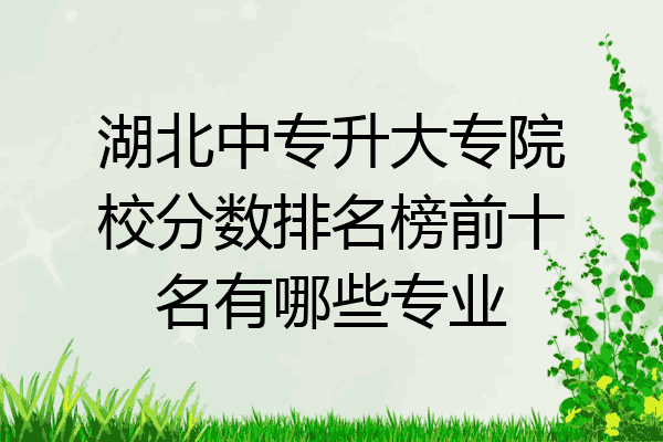 湖北中专升大专院校分数排名榜前十名有哪些专业