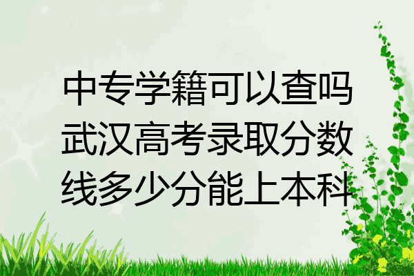 中专学籍可以查吗武汉高考录取分数线多少分能上本科