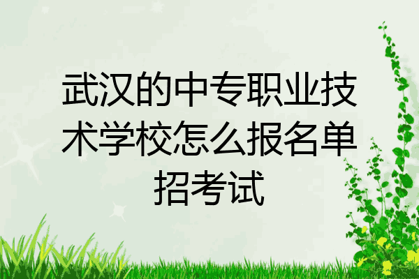 武汉的中专职业技术学校怎么报名单招考试