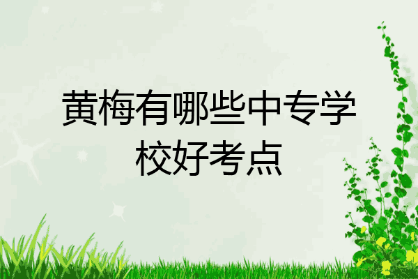 黄梅有哪些中专学校好考点