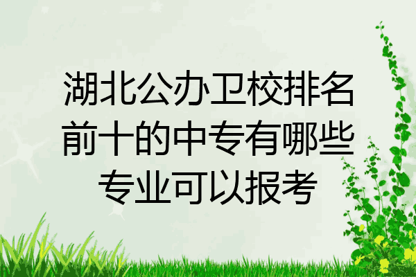 湖北公办卫校排名前十的中专有哪些专业可以报考