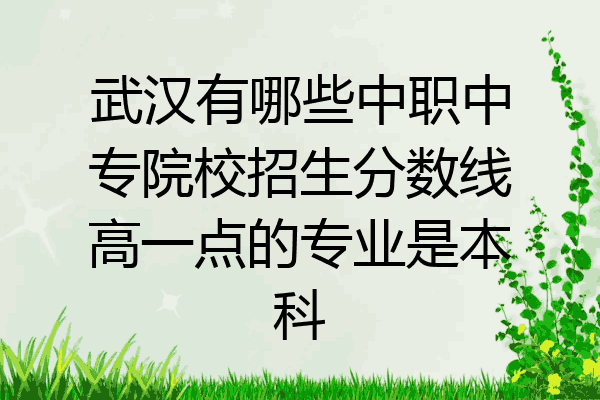 武汉有哪些中职中专院校招生分数线高一点的专业是本科