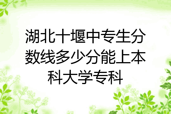 湖北十堰中专生分数线多少分能上本科大学专科