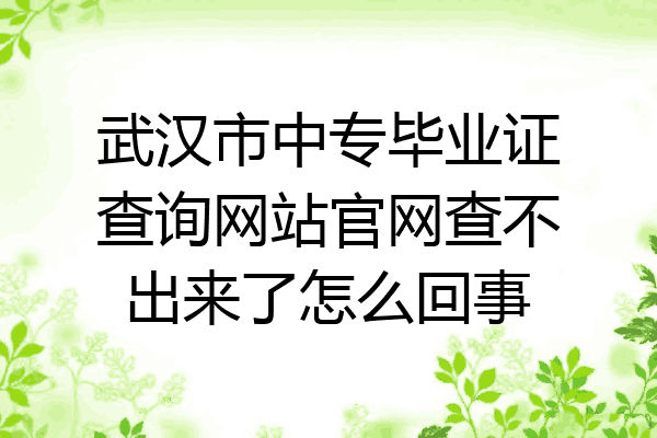 武汉市中专毕业证查询网站官网查不出来了怎么回事