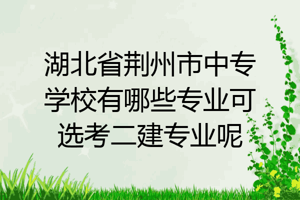 湖北省荆州市中专学校有哪些专业可选考二建专业呢