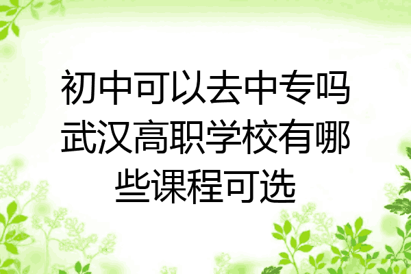 初中可以去中专吗武汉高职学校有哪些课程可选