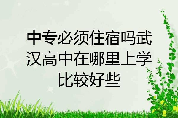 中专必须住宿吗武汉高中在哪里上学比较好些