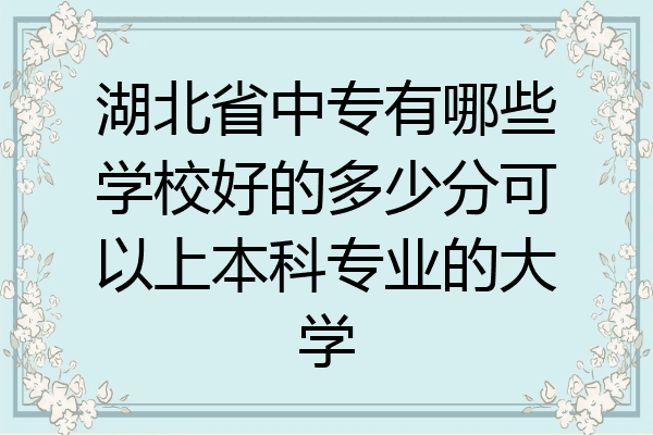 湖北省中专有哪些学校好的多少分可以上本科专业的大学