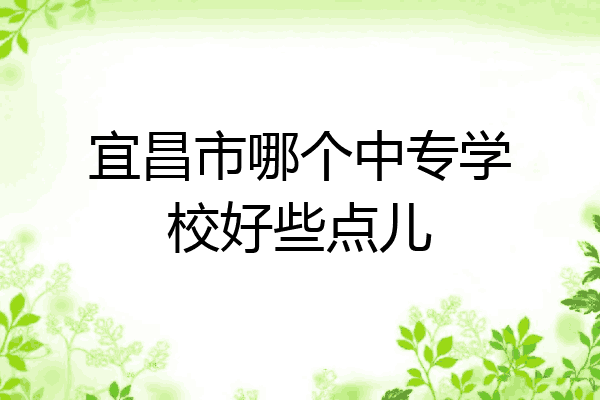 宜昌市哪个中专学校好些点儿