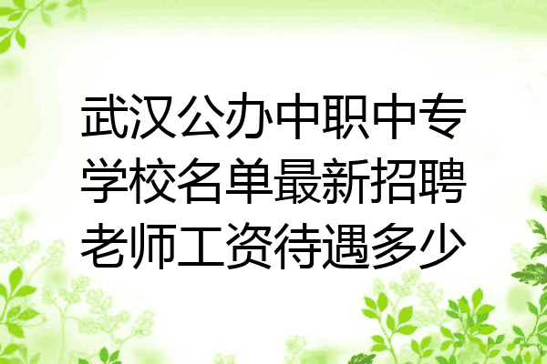 武汉公办中职中专学校名单最新招聘老师工资待遇多少
