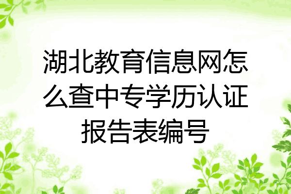 湖北教育信息网怎么查中专学历认证报告表编号