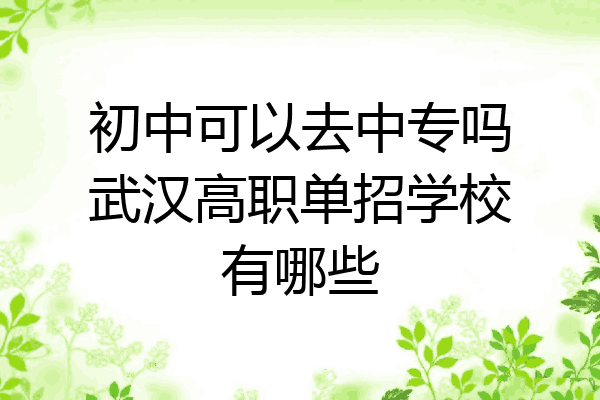 初中可以去中专吗武汉高职单招学校有哪些
