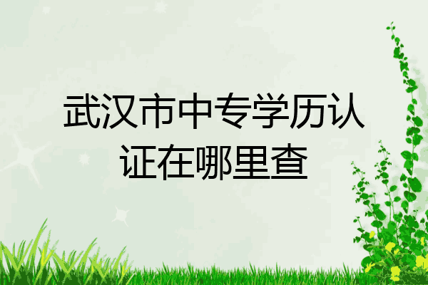 武汉市中专学历认证在哪里查