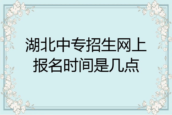 湖北中专招生网上报名时间是几点