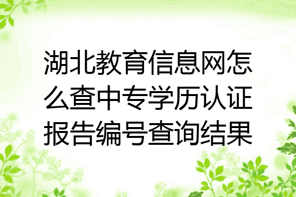湖北教育信息网怎么查中专学历认证报告编号查询结果