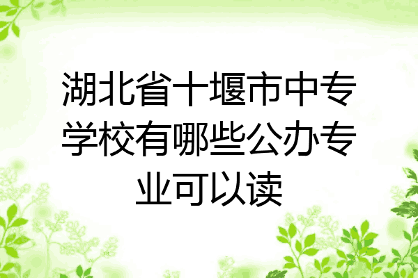 湖北省十堰市中专学校有哪些公办专业可以读