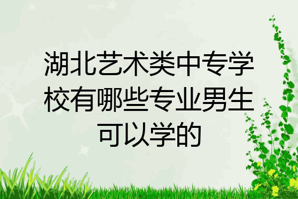 湖北艺术类中专学校有哪些专业男生可以学的