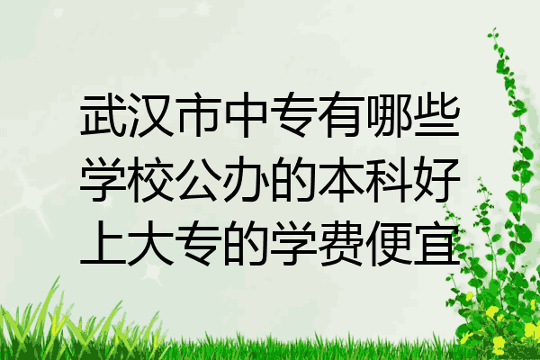 武汉市中专有哪些学校公办的本科好上大专的学费便宜