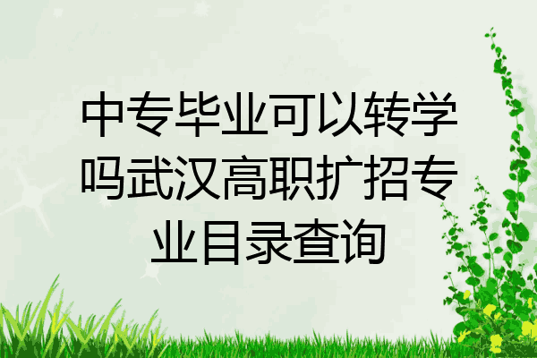 中专毕业可以转学吗武汉高职扩招专业目录查询