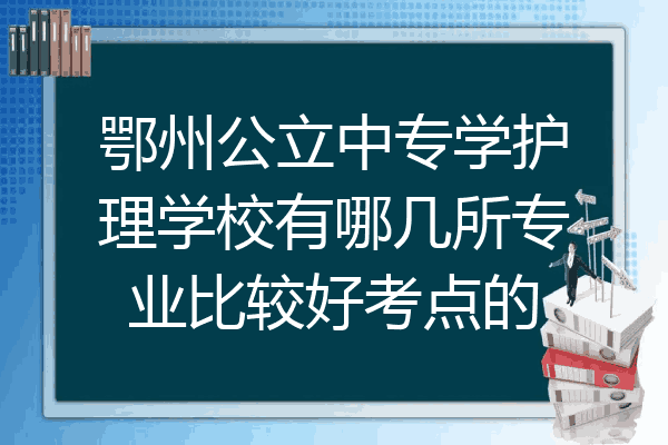 鄂州公立中专学护理学校有哪几所专业比较好考点的