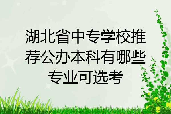 湖北省中专学校推荐公办本科有哪些专业可选考