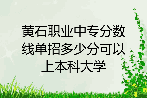 黄石职业中专分数线单招多少分可以上本科大学