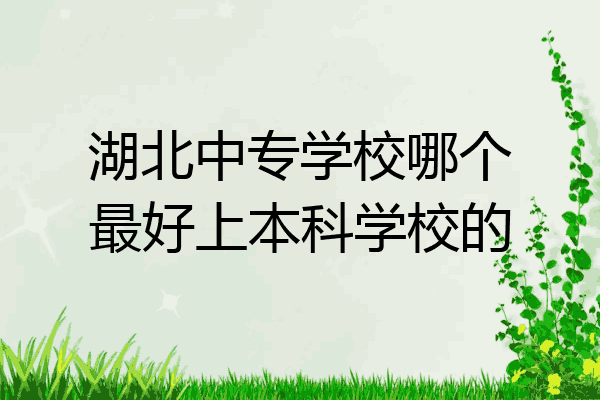 湖北中专学校哪个最好上本科学校的