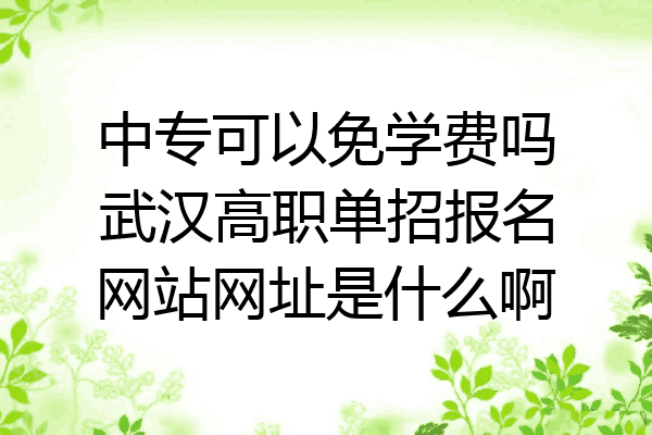 中专可以免学费吗武汉高职单招报名网站网址是什么啊