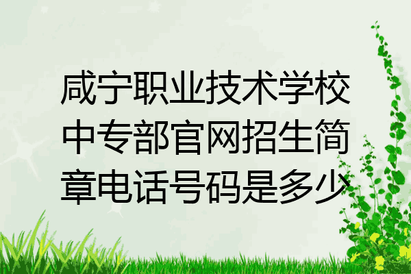 咸宁职业技术学校中专部官网招生简章电话号码是多少