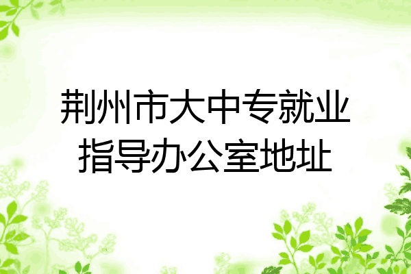 荆州市大中专就业指导办公室地址