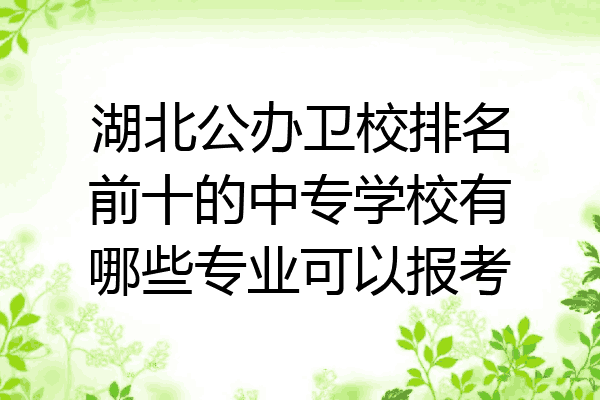 湖北公办卫校排名前十的中专学校有哪些专业可以报考
