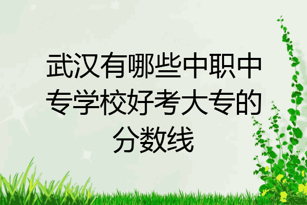 武汉有哪些中职中专学校好考大专的分数线
