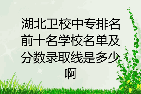 湖北卫校中专排名前十名学校名单及分数录取线是多少啊