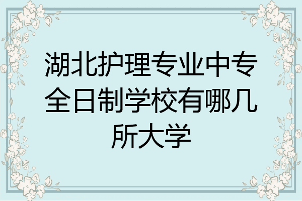 湖北护理专业中专全日制学校有哪几所大学