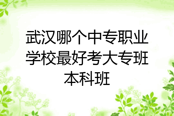 武汉哪个中专职业学校最好考大专班本科班
